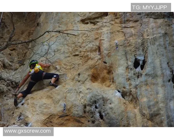 西安攀岩队与杭州攀岩队比赛经验深度分析与复盘总结